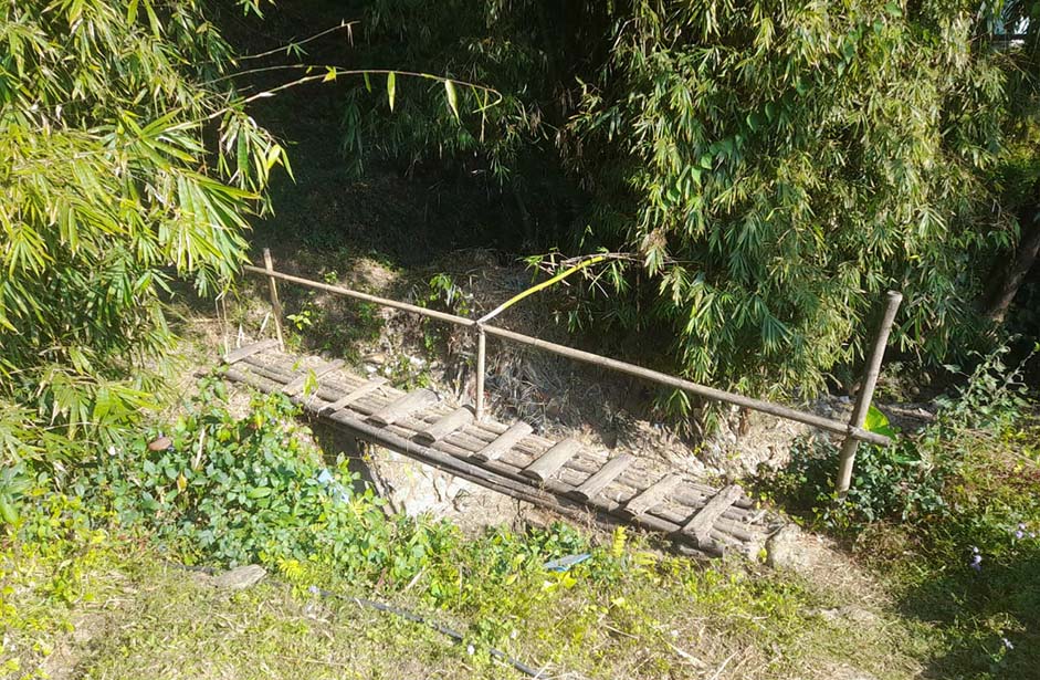 Rongo View Point
